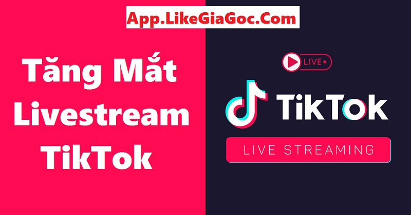 Tăng Mắt Livestream Tiktok đơn Giản Hiệu Quả Nhanh Nhất 2023